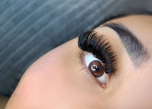 The Lash Course