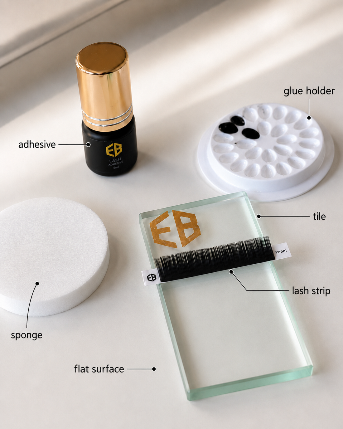 Why Sponge Practice Matters for Beginner Lash Artists