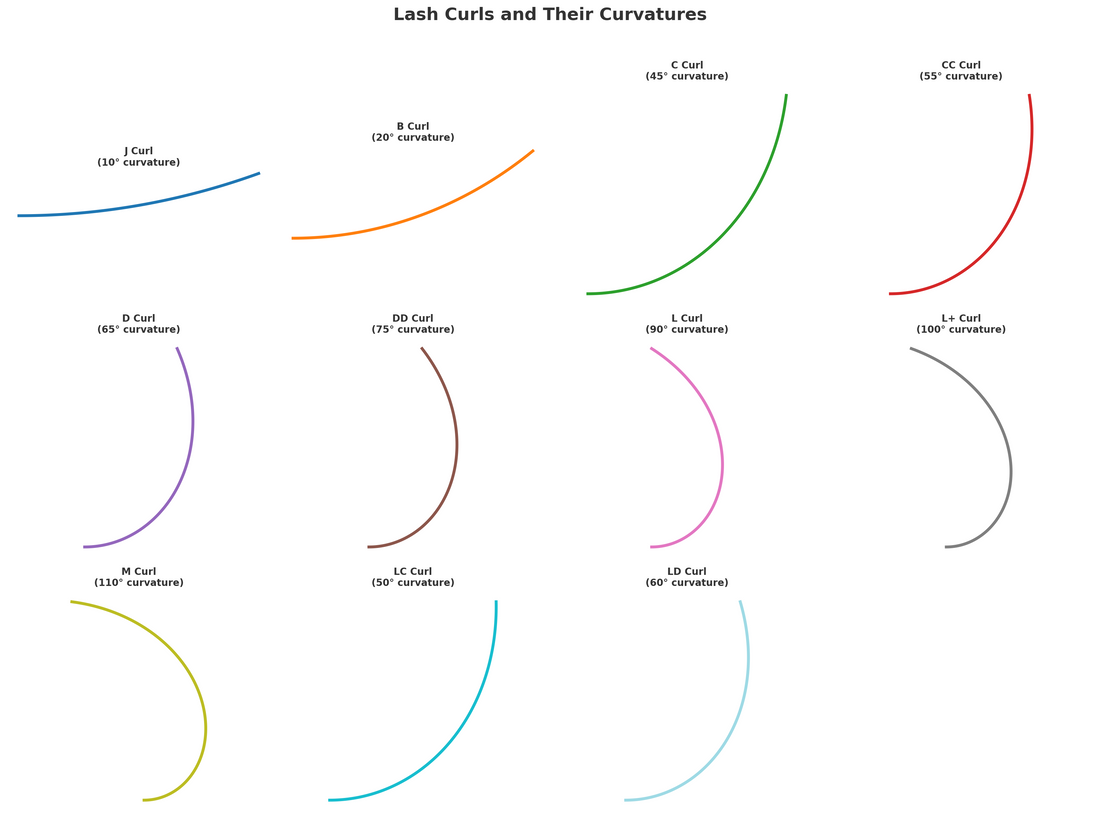 Curl vs. Curvature: Why Lash Artists Need to Understand the Difference