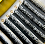 Easy Fan Lashes